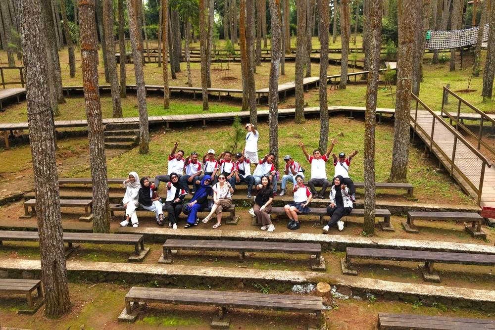 Hutan Pinus Mangunan Jogja